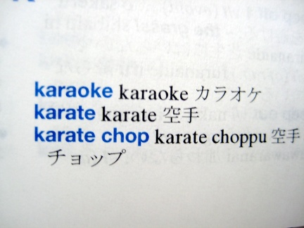 karatechoppu